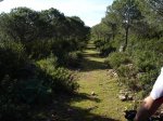 DSC01984.jpg