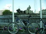 IMGP0038_L.jpg