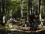 DSC03982.JPG