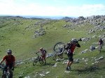 DSC04012.JPG