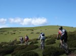 DSC04028.JPG
