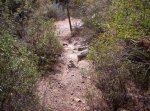 100_1376 (Small).JPG