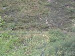 Imagen 063 (Small).jpg