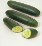 pepino..jpg