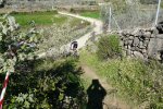 P1030591..jpg