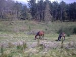 15042010_008..jpg