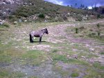 15042010_005..jpg
