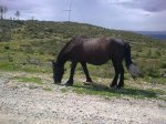 15042010_007..jpg