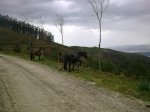 15042010_002..jpg