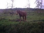 15042010_001..jpg