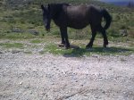 15042010_006..jpg