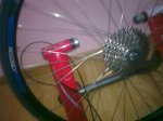 06032010_004..jpg