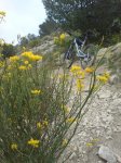 DSC05074..JPG