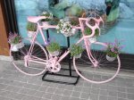 Image00001..jpg