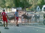 28082009(013)..jpg
