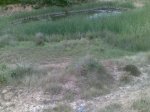 11072009(003)..jpg