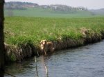 IMG_2587..jpg