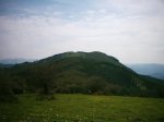 DSC_1467..jpg