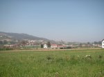 PICT0050..jpg