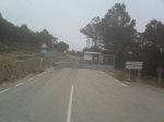 IMG393..jpg