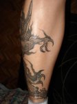 DSC01836..jpg