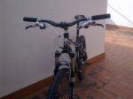 Imagen0269..jpg
