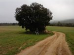 P1002_17-04-10.jpg