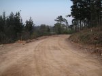 PICT0235..jpg