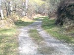 Imagen0338..jpg