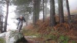 piÃ±uela20_1024x57&#53.jpg