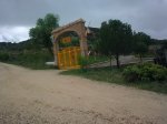 18042010_008..jpg