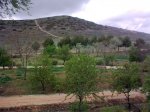 18042010_047..jpg