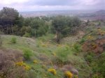 18042010_063..jpg