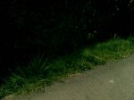 17042010(028)..jpg