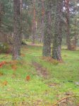 Foto4..JPG