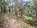 Foto12..JPG