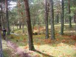 Foto15..JPG