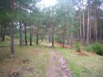 Foto18..JPG