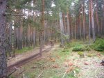 Foto31..JPG