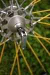 spin2..jpg