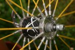spin1..jpg