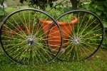spin..jpg