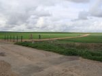 DSC01294.jpg