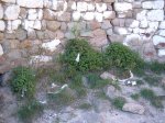 castillo st. miq&#117.jpg