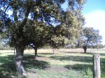 Salida 07-02 -2010&#3.jpg