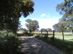 Salida 07-02 -2010&#3.jpg