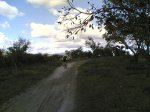 Salida 07-02 -2010&#3.jpg
