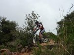 P1010273..jpg
