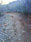 DSC00619.jpg