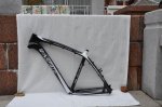 MTB750painting.jpg